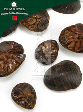 土鳖虫,未硫化土鳖虫